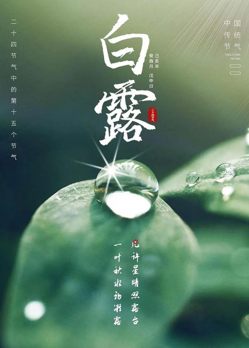 今天買什么特馬白露是二十四節(jié)氣笏幾個節(jié)日，